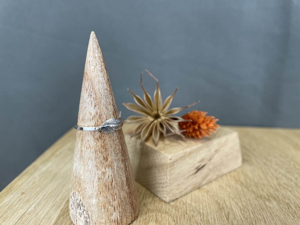 Bague Argent 925 [1279]