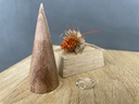 Bague Argent 925 [1319]