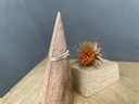 Bague Argent 925 [1323]
