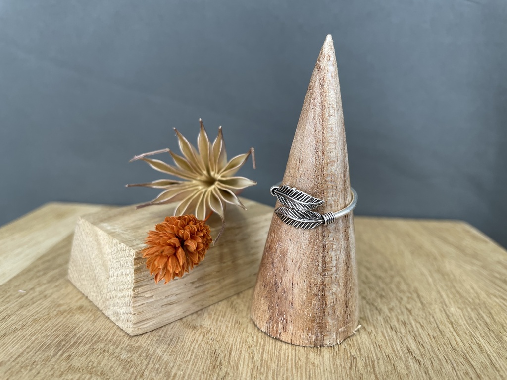 Bague Argent 925 [1353]