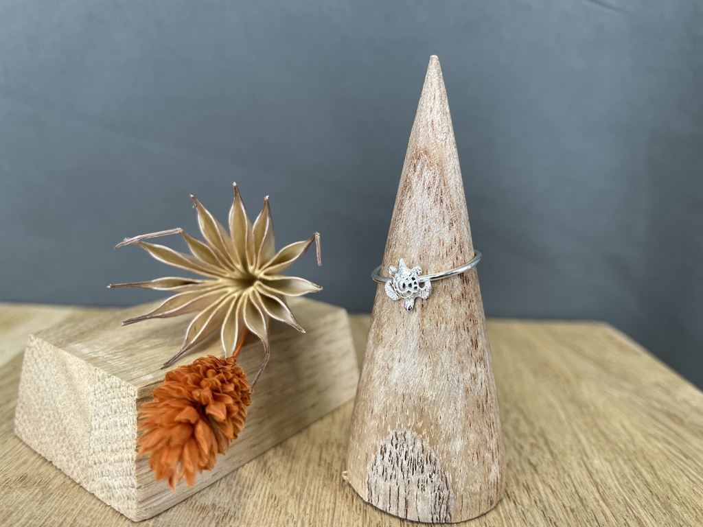 Bague Argent 925 [1380]