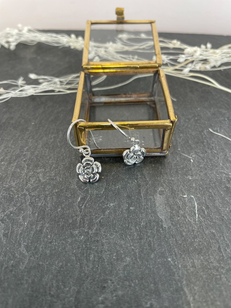Boucles d'oreilles Argent 925 [1748]
