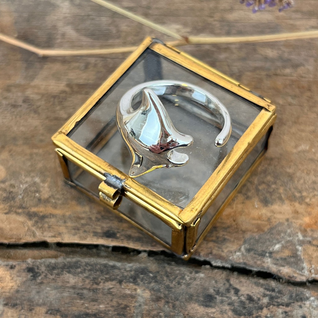 Bague Argent 925 [3337]