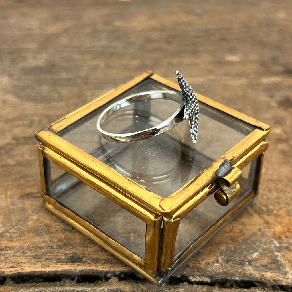 Bague 'Étoile de Mer' Argent 925 [3344]