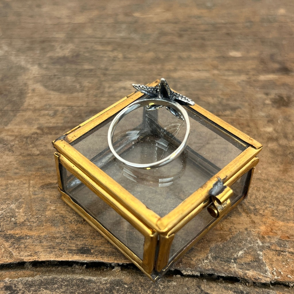 Bague 'Étoile de Mer' Argent 925 [3345]