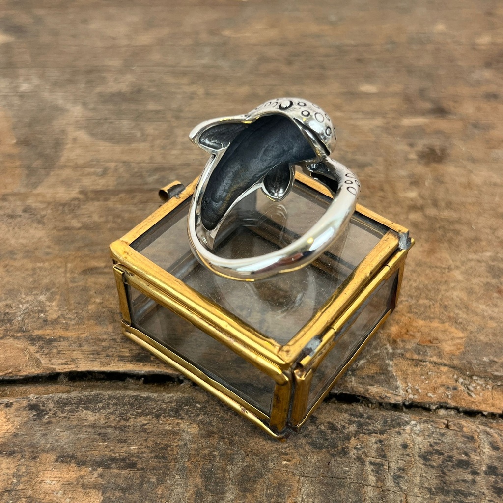 Bague Argent 925 [3351]