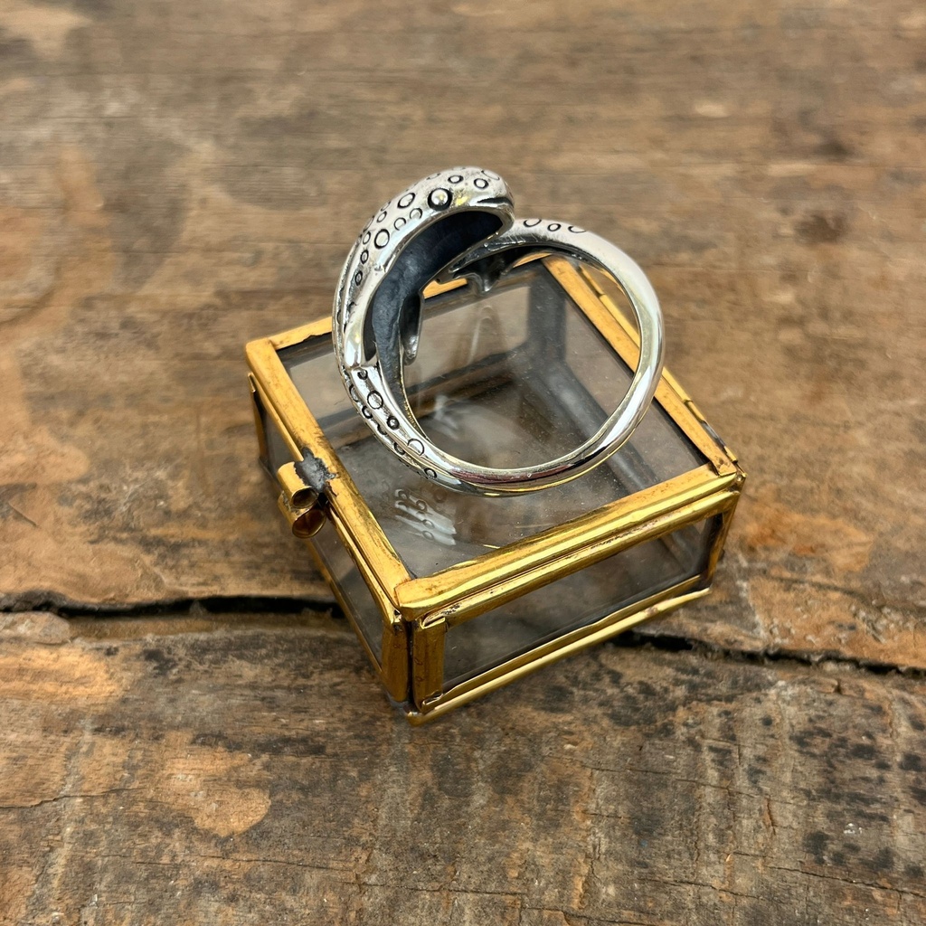 Bague Argent 925 [3351]