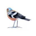 Oiseau - Pinson - 10 x 11,5 x 4 cm