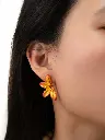 Puces d'oreilles 'Demi Lys Tigrée' – Nach