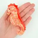 Pince à cheveux 'Hippocampe' – Coucou Suzette