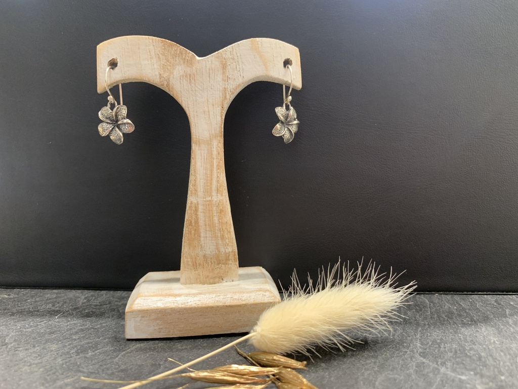 Boucle d'Oreille Argent 925  [0186]