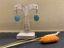 Boucle d'Oreille Argent 925 & Turquoise [0210]