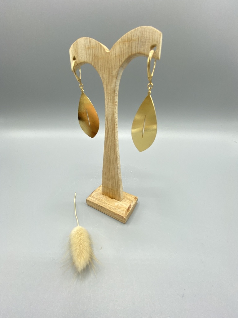 Boucles D'Oreilles Physalis Orange