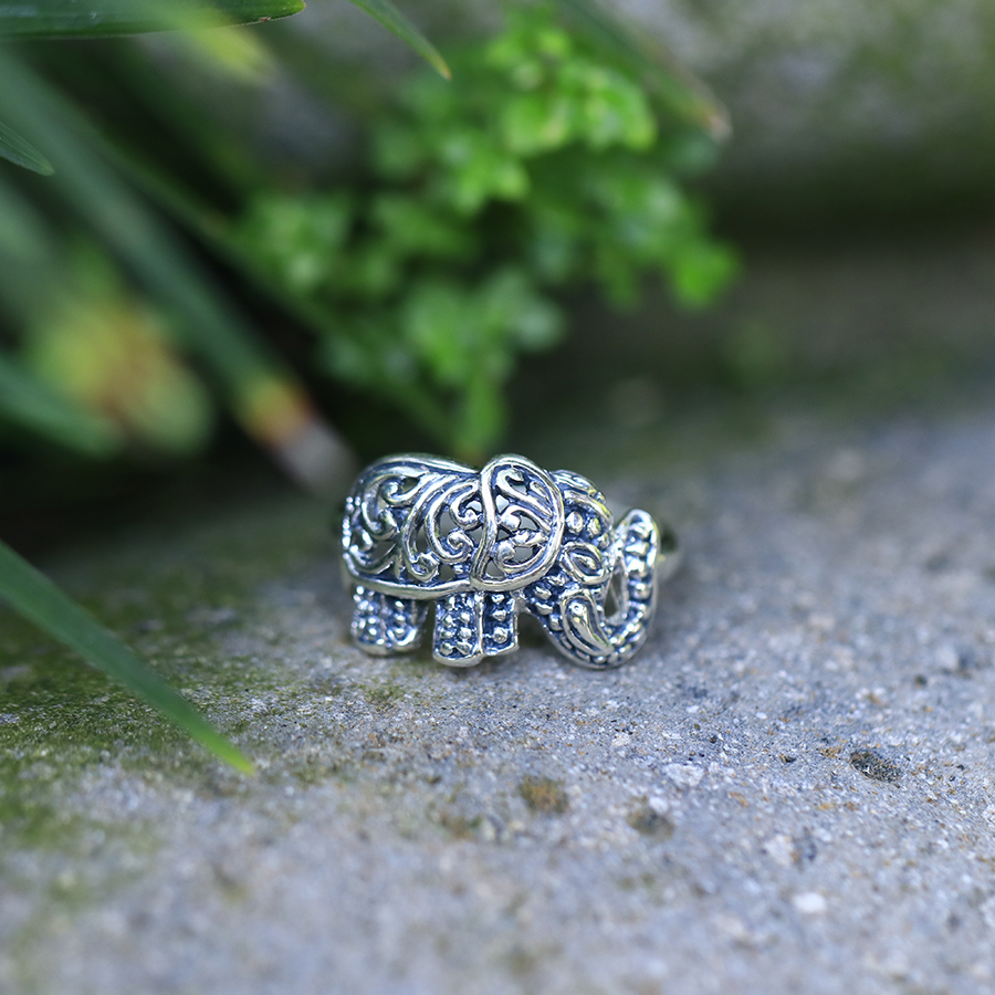 Bague Argent 925 [1066]