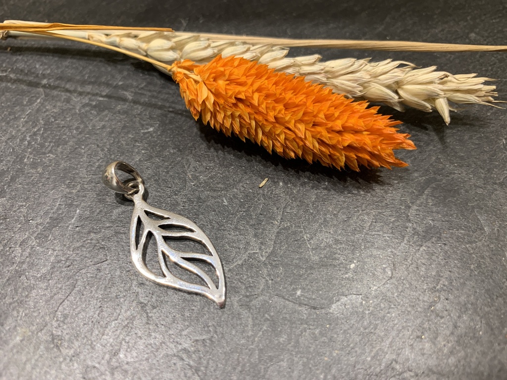 Pendentif Argent 925 [0127]