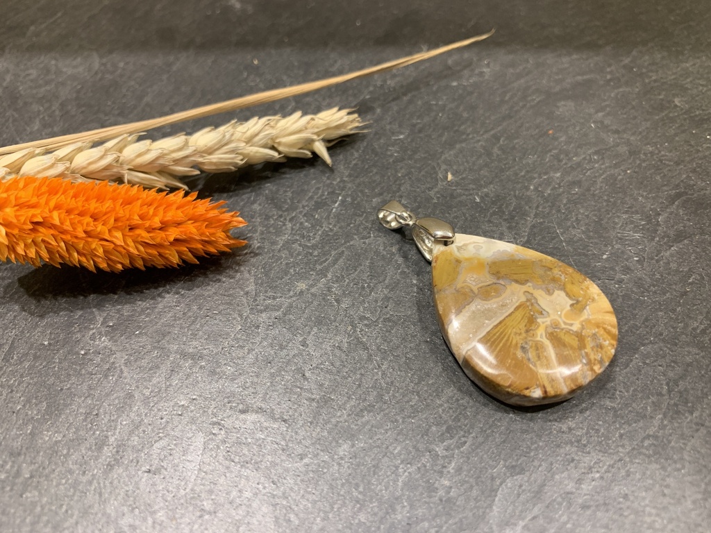 Pendentif Argent 925 & Jaspe Orbiculaire [0178]