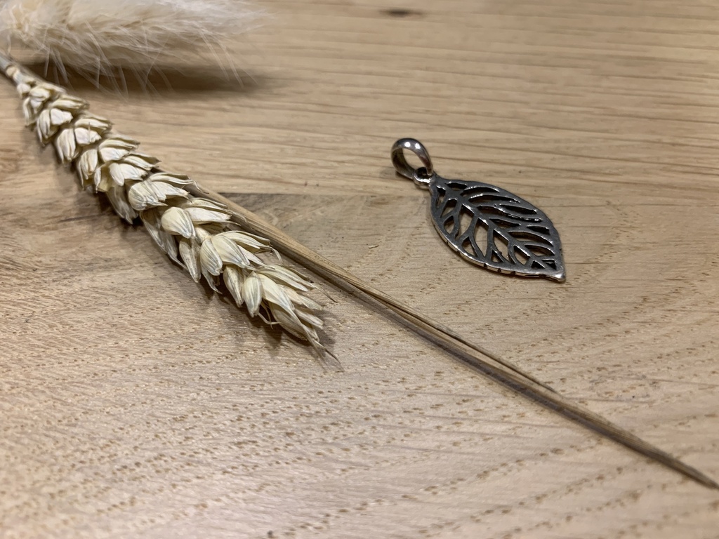Pendentif Argent 925 [0194]