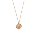 Collier Charm Necklace Scorpio Circle Gold - All The Luck In The World