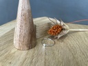 Bague Argent 925 [1398]