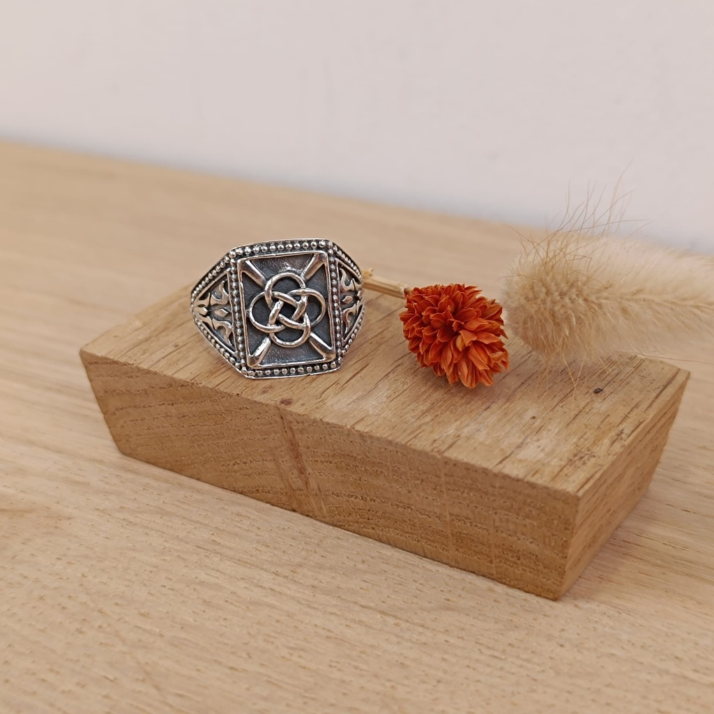 Bague Argent 925 [1621]