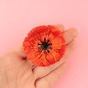 Pince à cheveux Coquelicot - Coucou Suzette