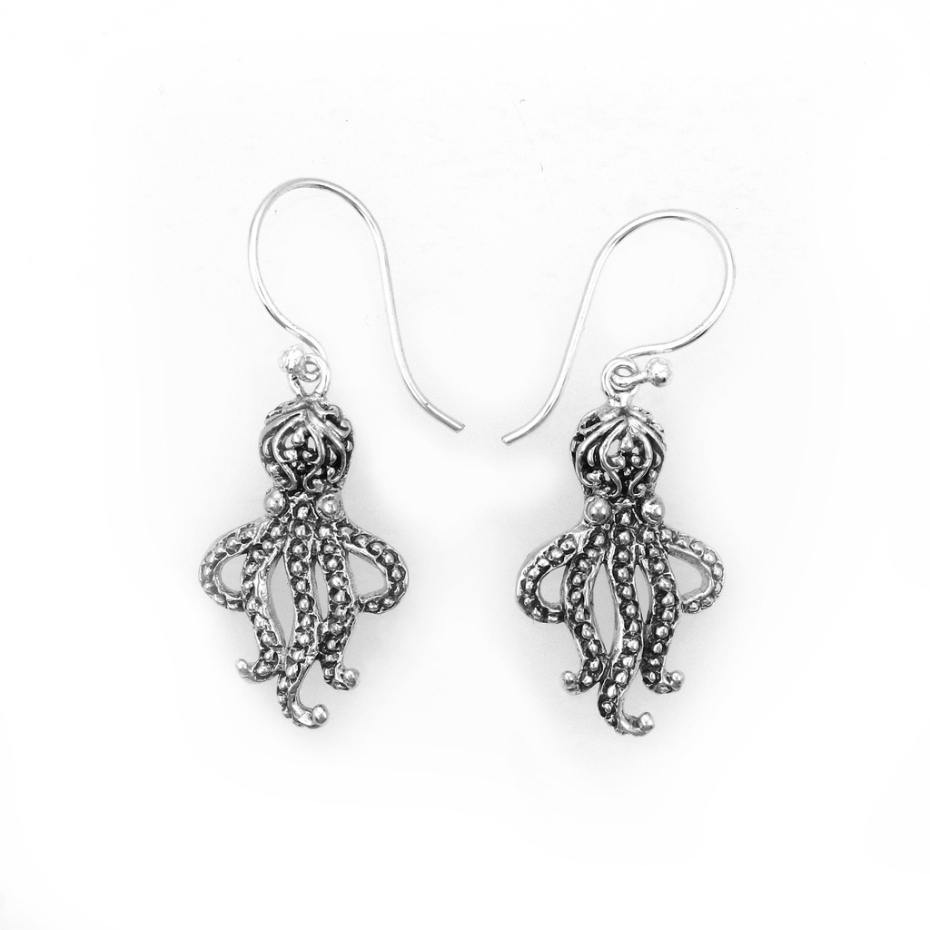 Boucles d'oreilles Argent 925 [1244]