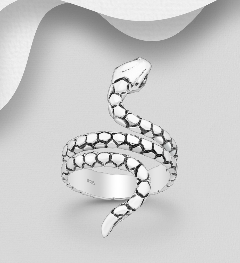 Bague - Argent 925 [2424]