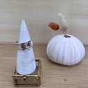 Bague - Argent 925 [2647]