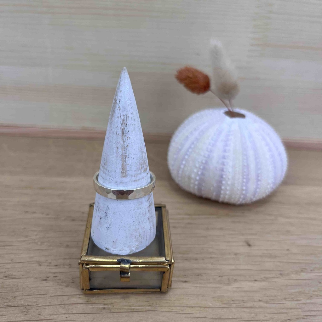 Bague - Argent 925 [2670]