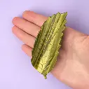 Pince à Cheveux 'Feuille de Châtaignier' - Coucou Suzette