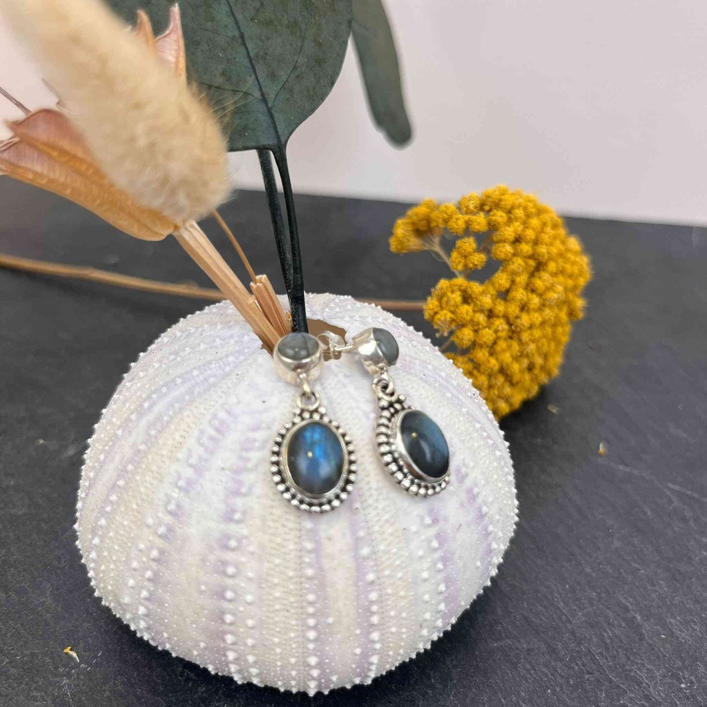 Boucles d'oreilles Argent 925 & Labradorite [1599]