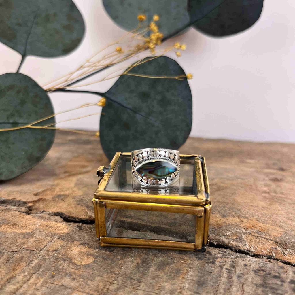 Bague Argent 925 - Abalone [3096]