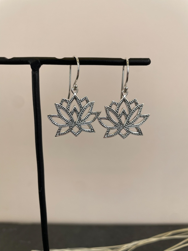 Boucles d'oreilles Argent 925 [1739]