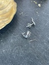 Puces d'Oreilles Argent 925 [1814]