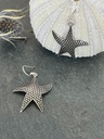 Boucles d'oreilles Argent 925 [1866]