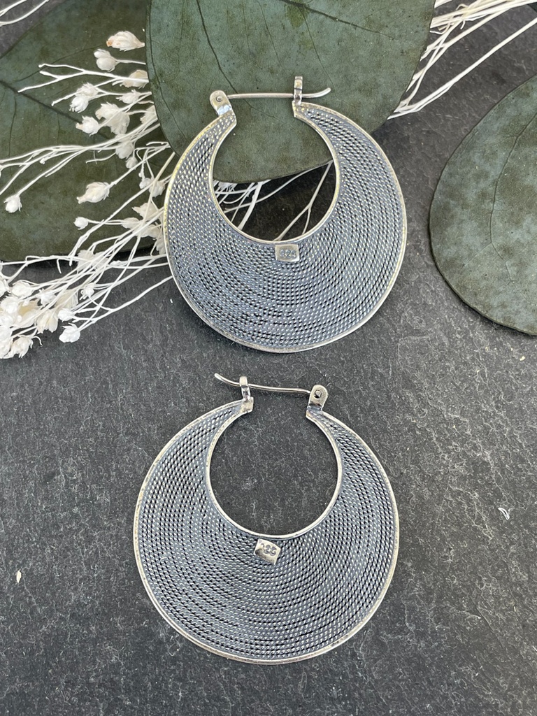 Boucles d'oreilles Argent 925 [1868]
