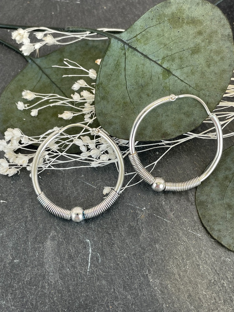Boucles d'oreilles Argent 925 [1874]
