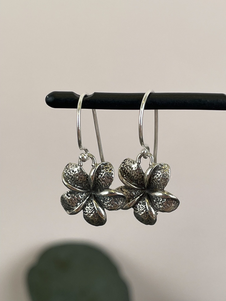 Boucles d'oreilles Argent 925 [1880]