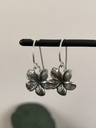 Boucles d'oreilles Argent 925 [1880]