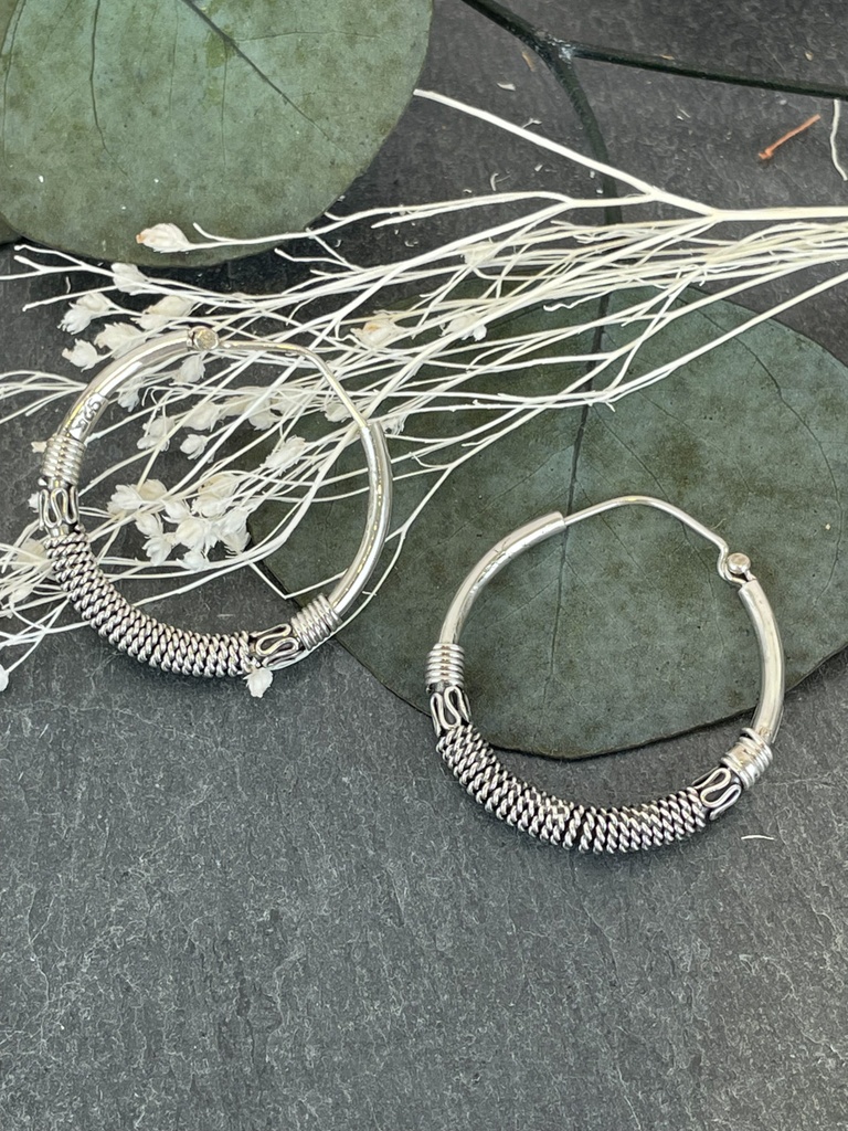 Boucles d'oreilles Argent 925 [1911]