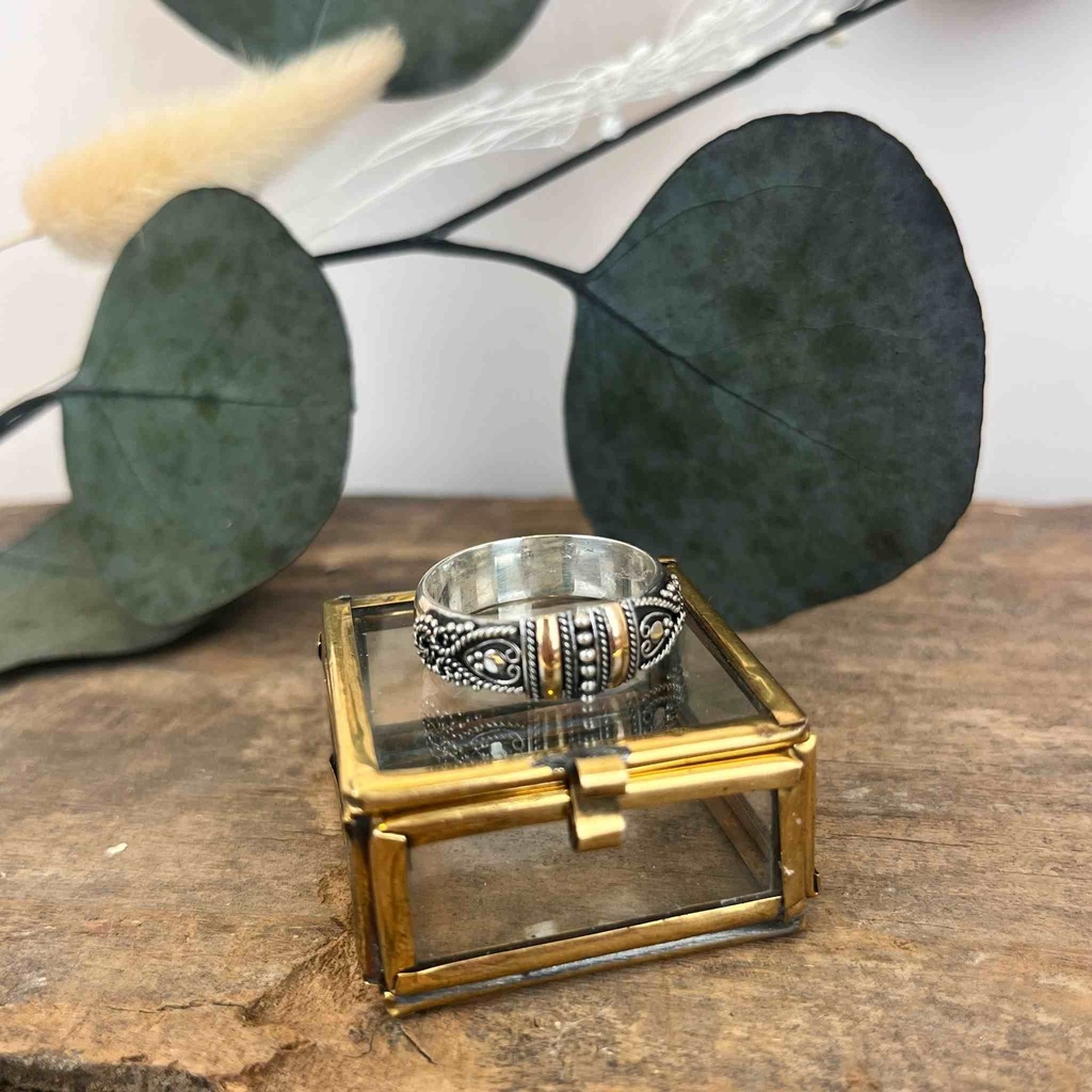 Bague Argent 925 & Plaqué Or [3252]