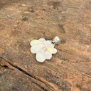 Pendentif Argent 925 - Nacre [0650]