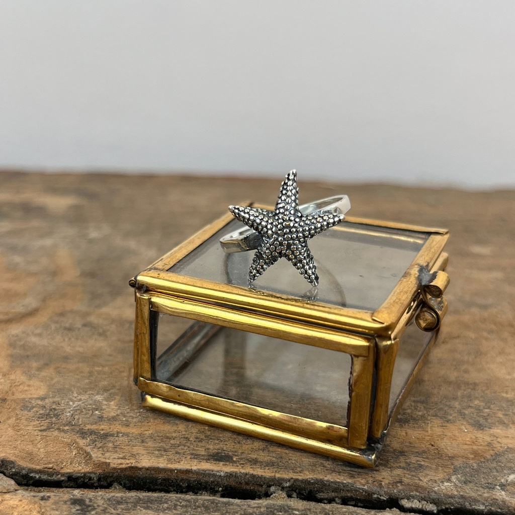 Bague 'Étoile de Mer' Argent 925 [3344]