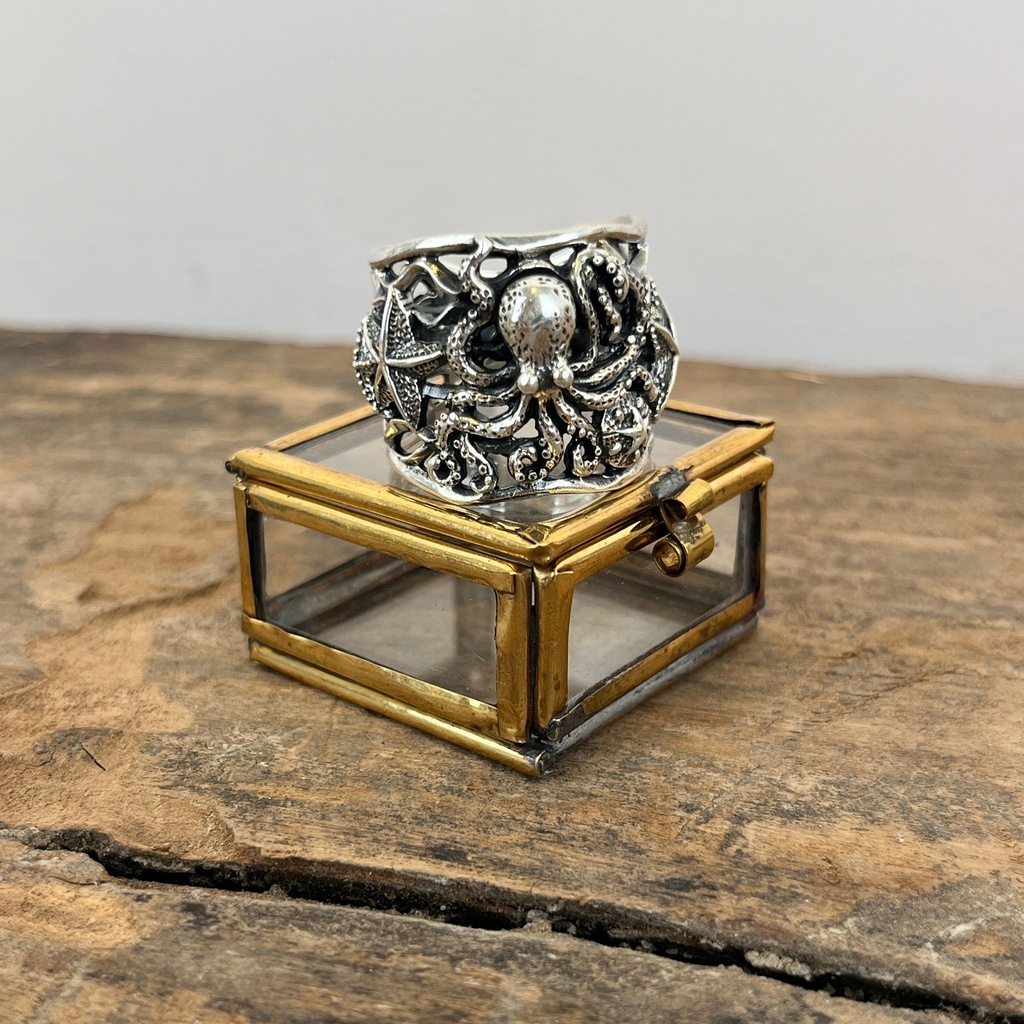 Bague Argent 925 [3355]