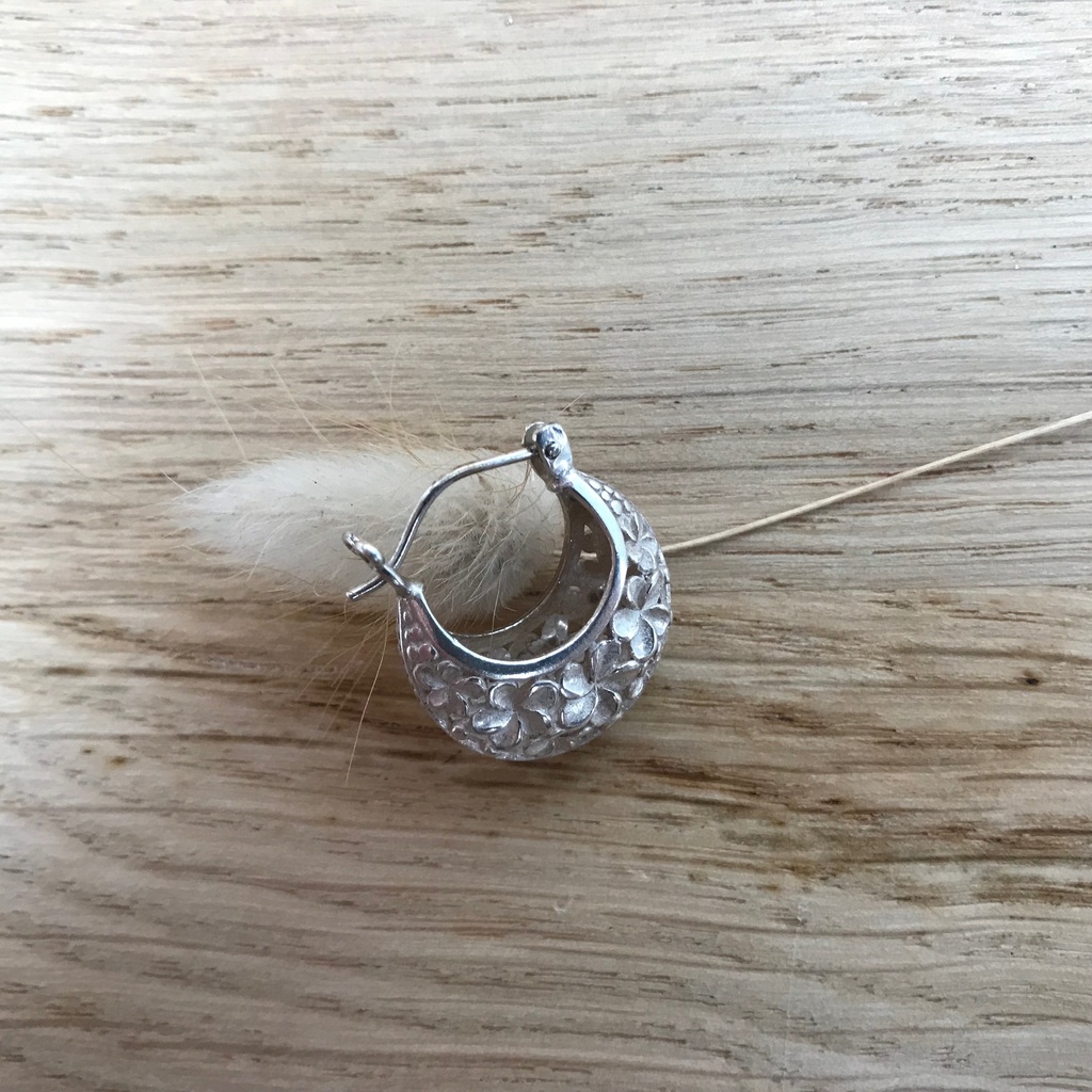 [BOAR-0481-0-5,9-2,3] Boucles d'Oreilles Argent 925 [0481]