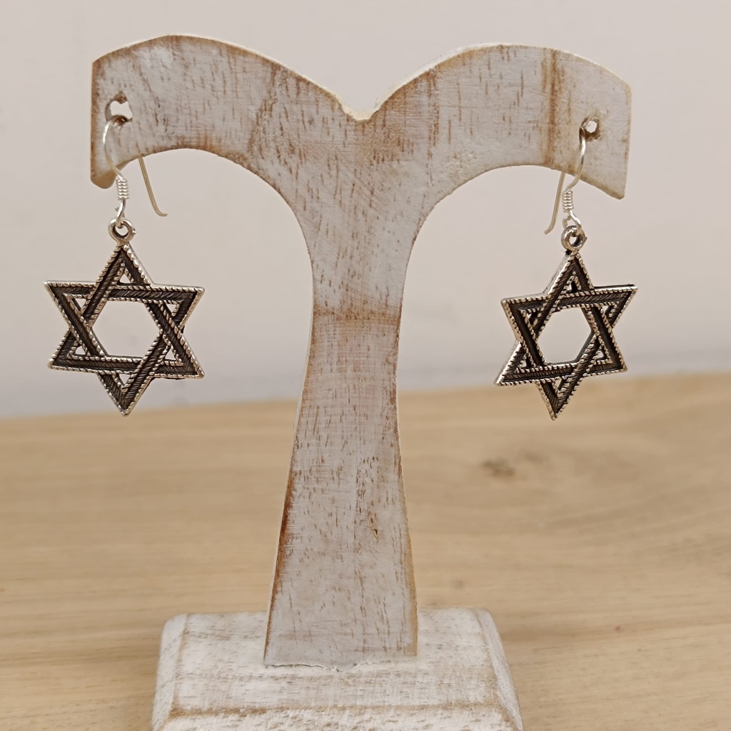 [BOAR-0775] Boucles d'Oreilles Argent 925 [0775]