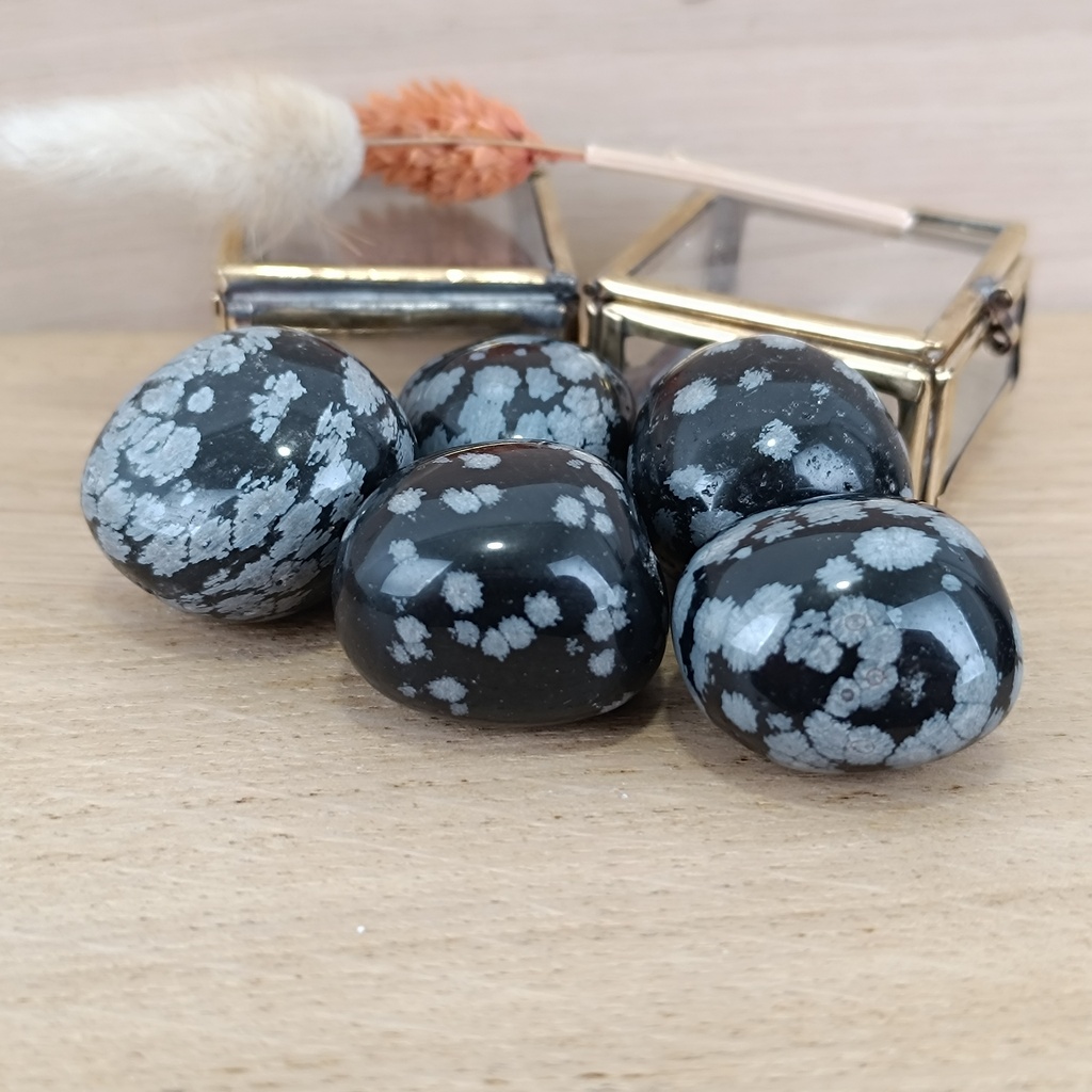 [STO-0019] Obsidienne Neige à l'unité