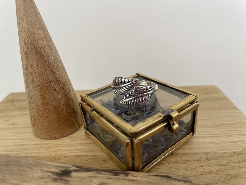 [BAAR-1664-53] Bague Argent 925 [1664]