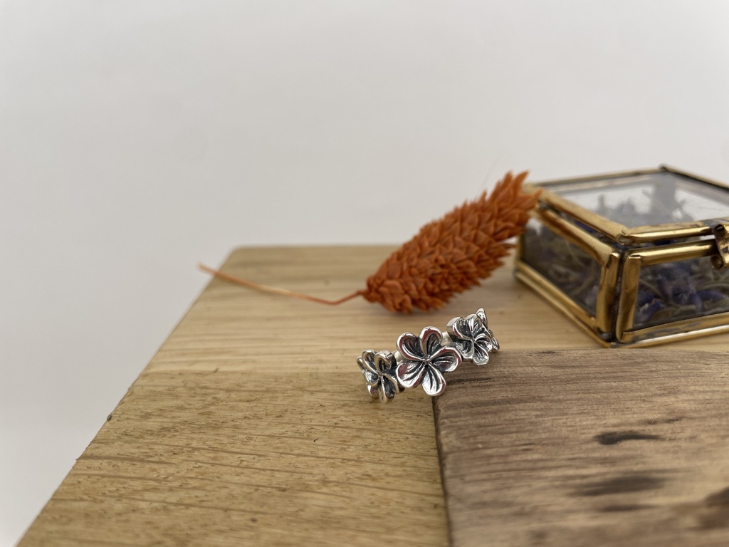 [BAAR-1708-57] Bague Argent 925 [1708]