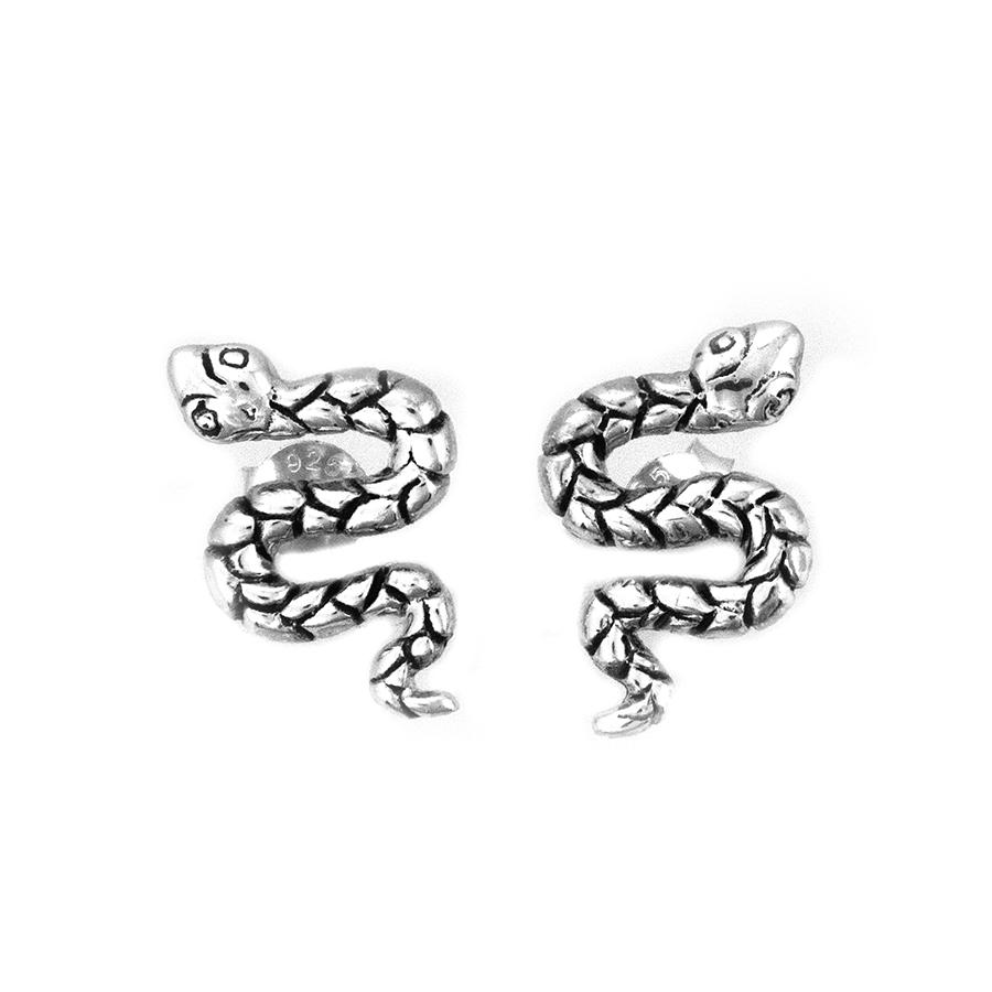 [BOAR-1249] Puces d'oreilles Argent 925 [1249]